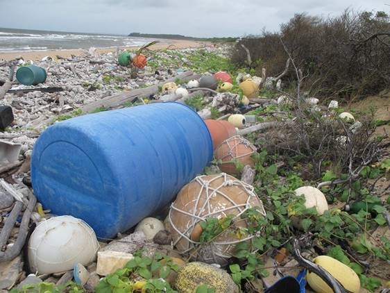 Plastic debris at Cape York